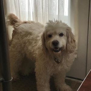 Meet your Posher, Anna